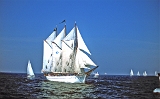 Sail 2003, Dreimastgaffelschoner : Segelschiffe